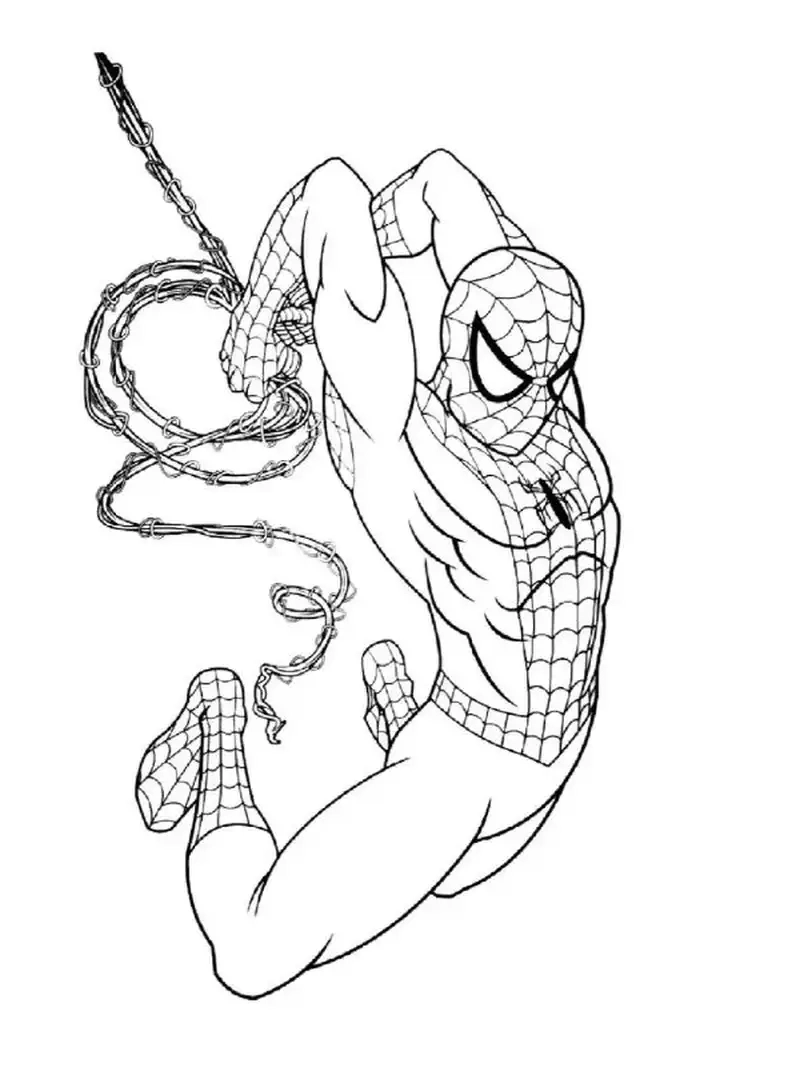 Rèn kỹ năng sáng tạo với tranh tô màu Spider Man phức tạp