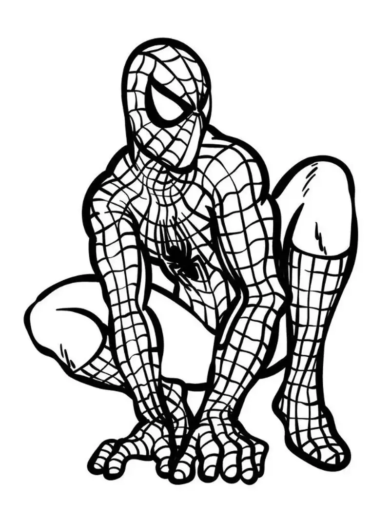 Chinh phục chi tiết khó cùng tranh tô màu Spider Man phức tạp