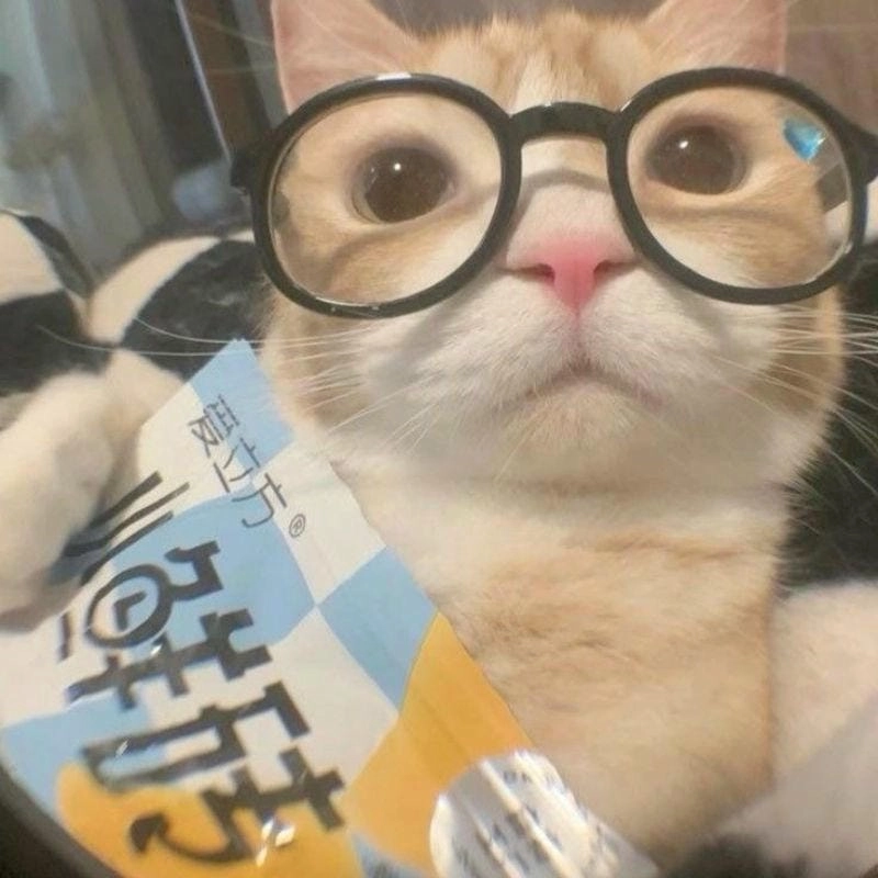 Lạc lối trong meme vô tri hàm ý