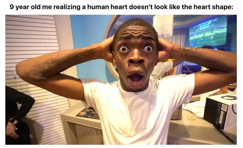 Cùng cười với những hình what meme viral