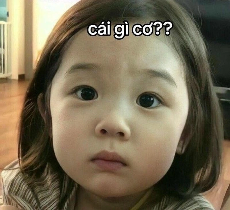 Săn lùng những khoảnh khắc what meme trend