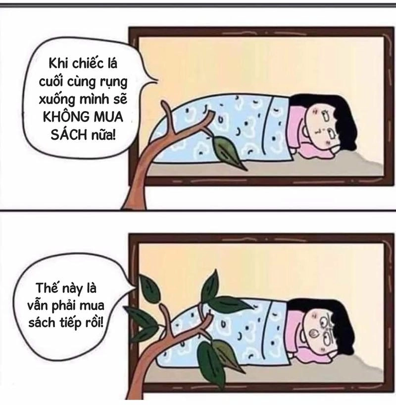 Săn lùng những khoảnh khắc ảnh ý trời meme