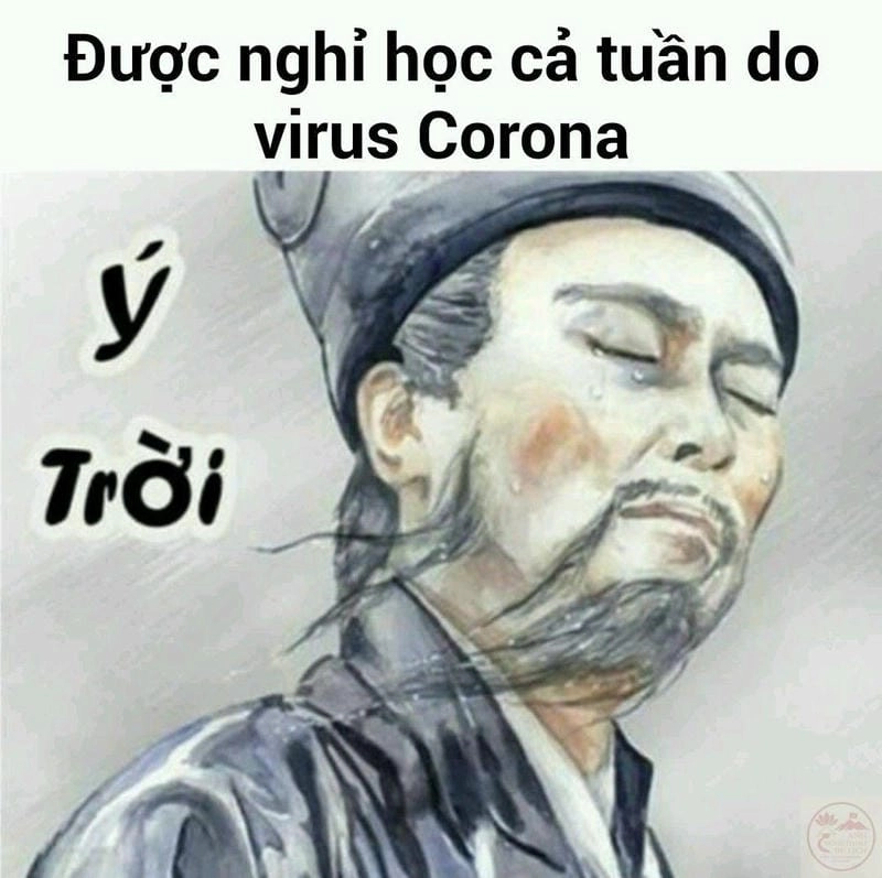 Thức dậy cùng những hình ý trời meme viral