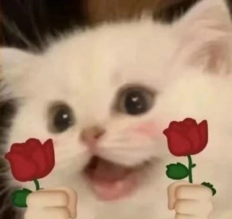 Cùng cười với những hình yêu meme chế