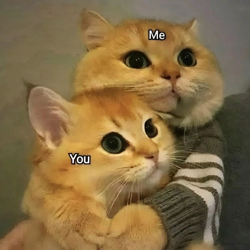 Thức dậy cùng những hình yêu meme cute