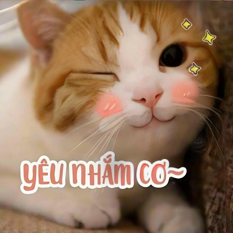 Gợi ý những bức yêu meme viral