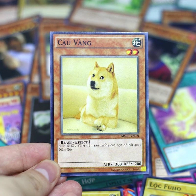 Cùng du ngoạn yugioh meme đời sống