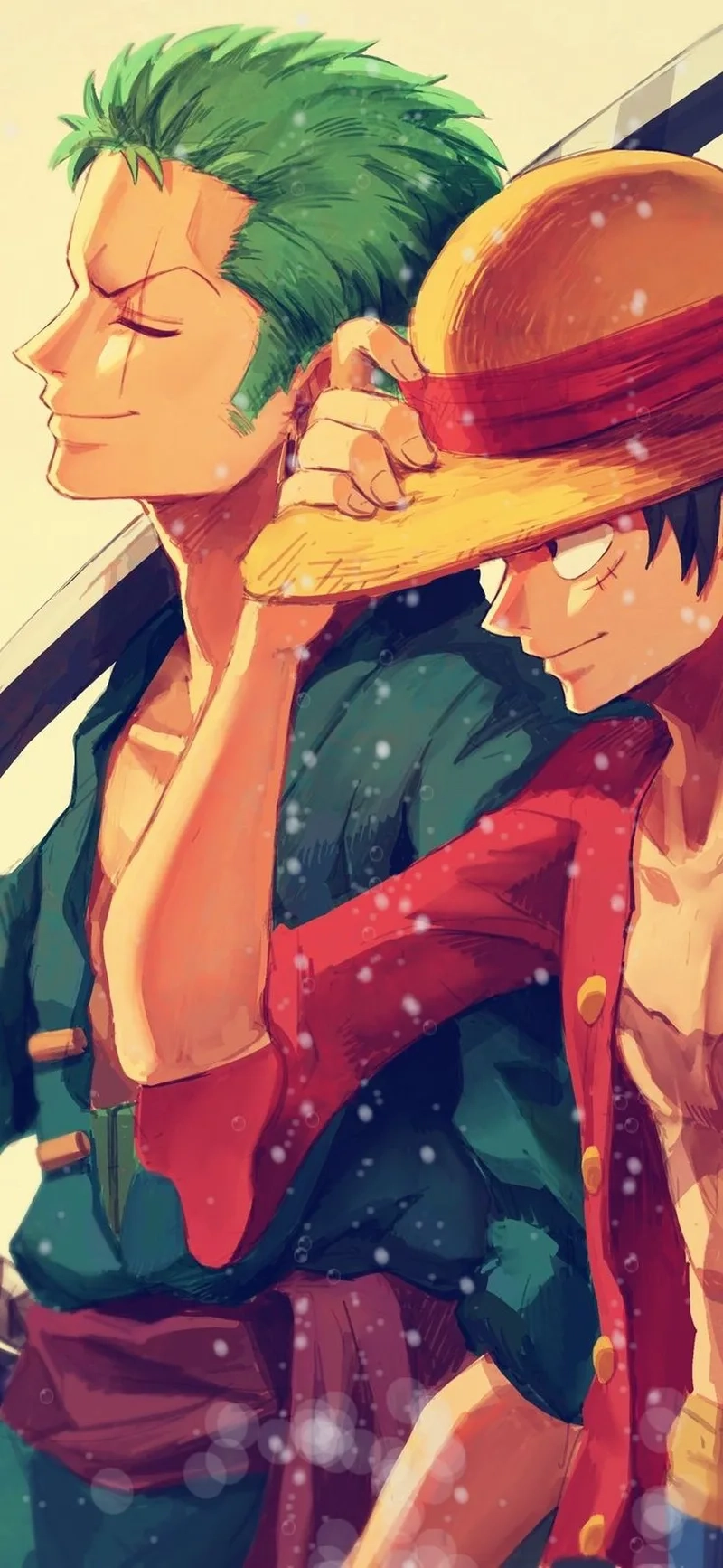 Hình ảnh ấn tượng của luffy x zoro