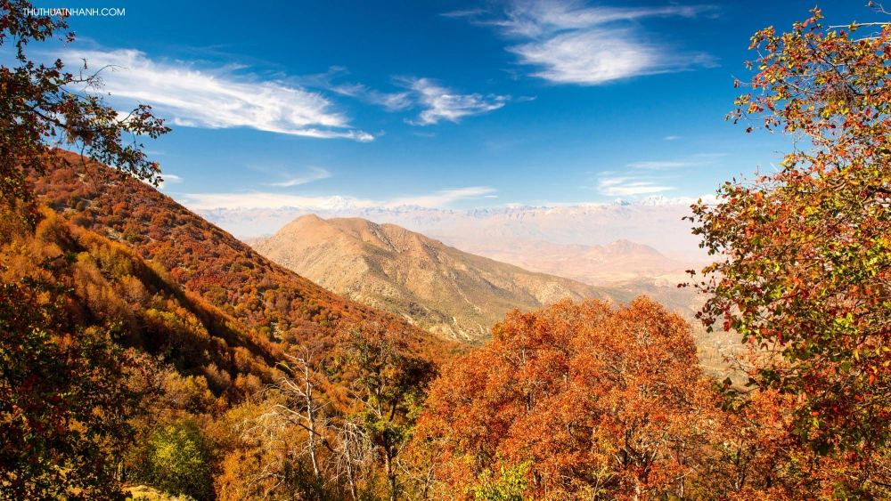 Tranh vẽ cảnh mùa thu lãng mạn màu sắc rực rỡ