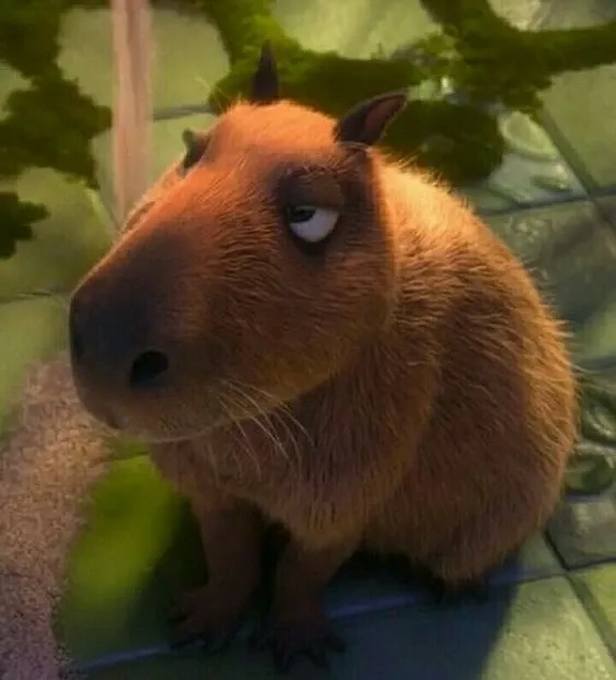 Capybara cute meme dễ thương chill cười đau bụng