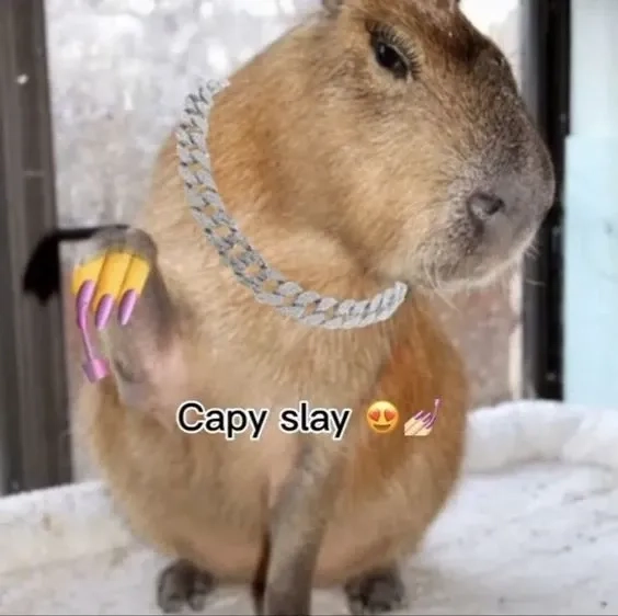 Meme capybara chill ngầu hài hước cuốn hút