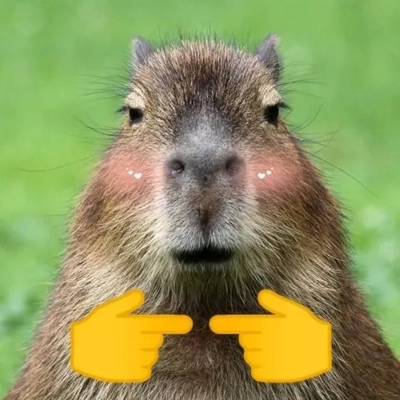 Capybara hồng meme dễ thương hồng phấn troll