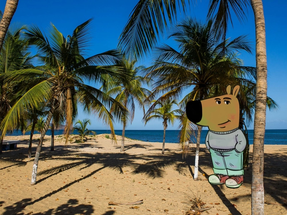 Chill guy 4k sắc nét bình tĩnh siêu chất