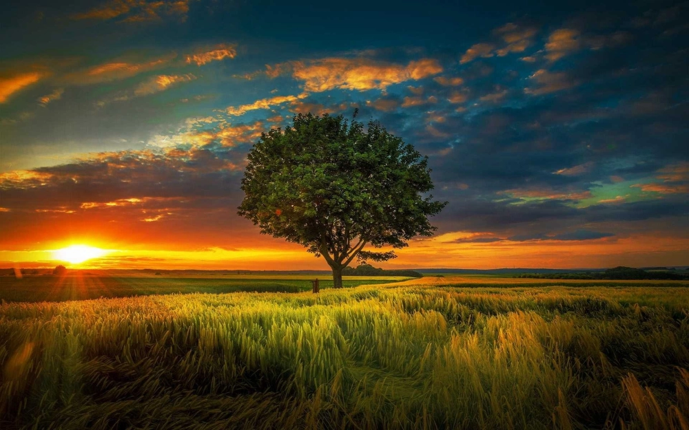 Hình nền phong cảnh hoàng hôn đẹp mê hồn