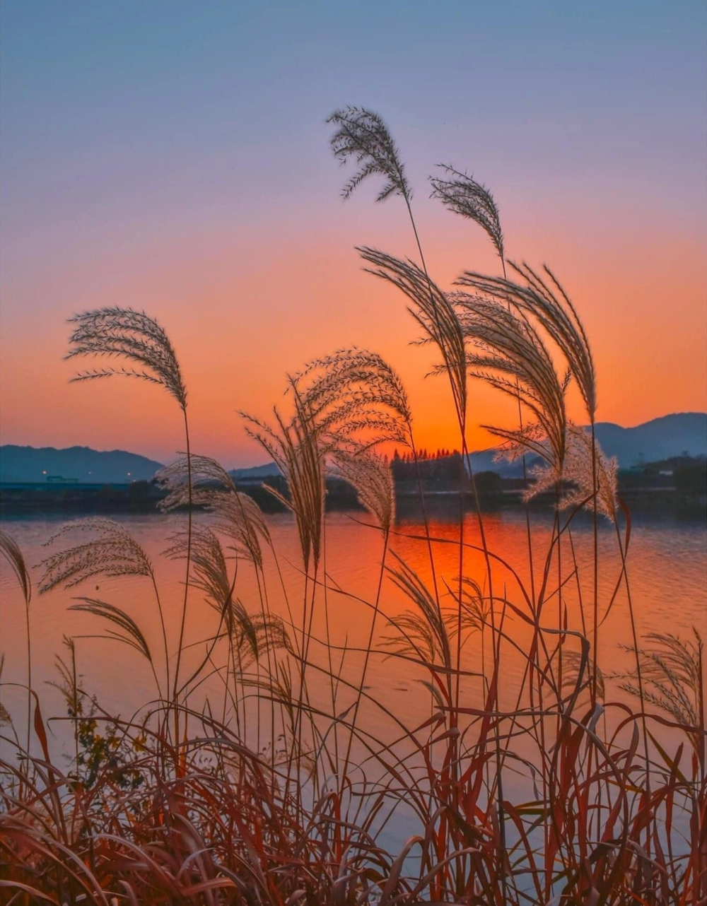 Hình nền cảnh hoàng hôn đẹp thư giãn mắt