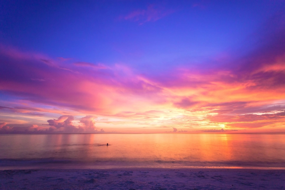 Vẽ tranh cảnh hoàng hôn đơn giản dễ thương