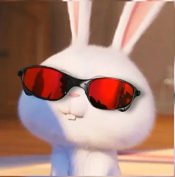 Ảnh thỏ snowball trắng muốt đáng yêu