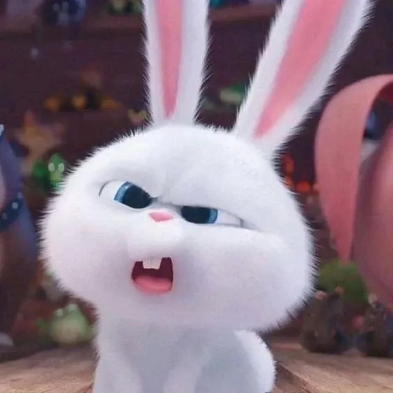 Thỏ snowball dễ thương mắt to tròn cute