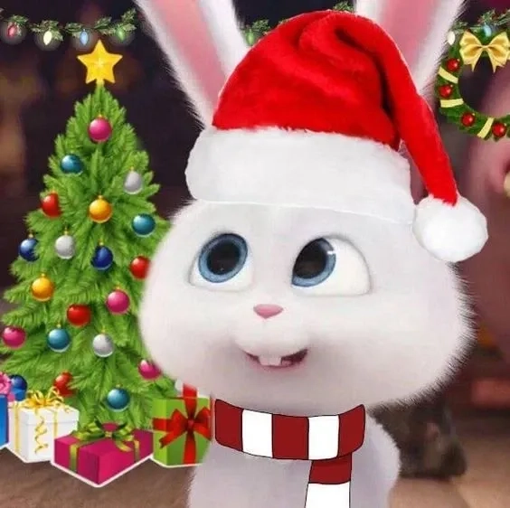 Meme thỏ snowball tình huống dở khóc