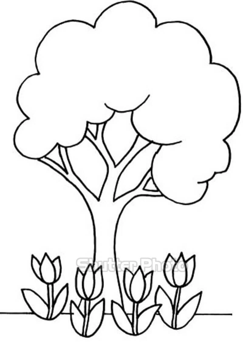 Tranh tô màu cây lá xanh tươi mát mẻ dễ tô