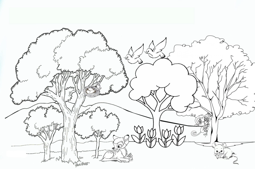 Tranh tô màu cây xanh thư giãn gần gũi thiên nhiên