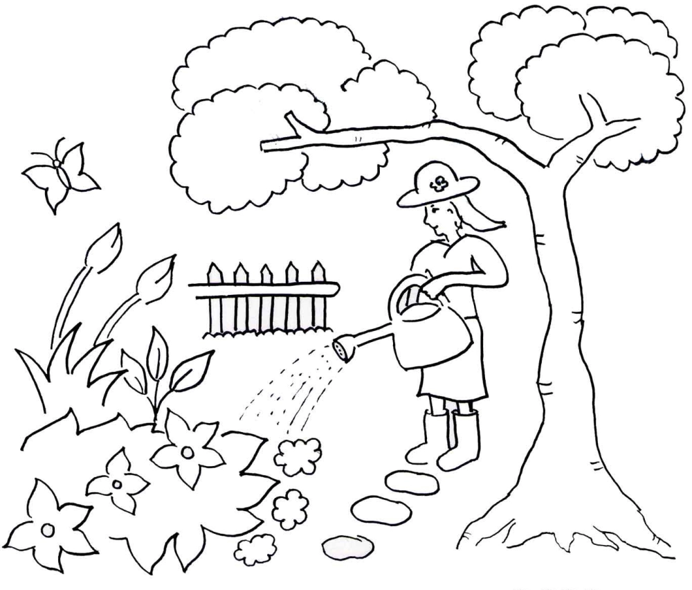 Tranh tô màu cây cho bé phát triển trí tưởng tượng