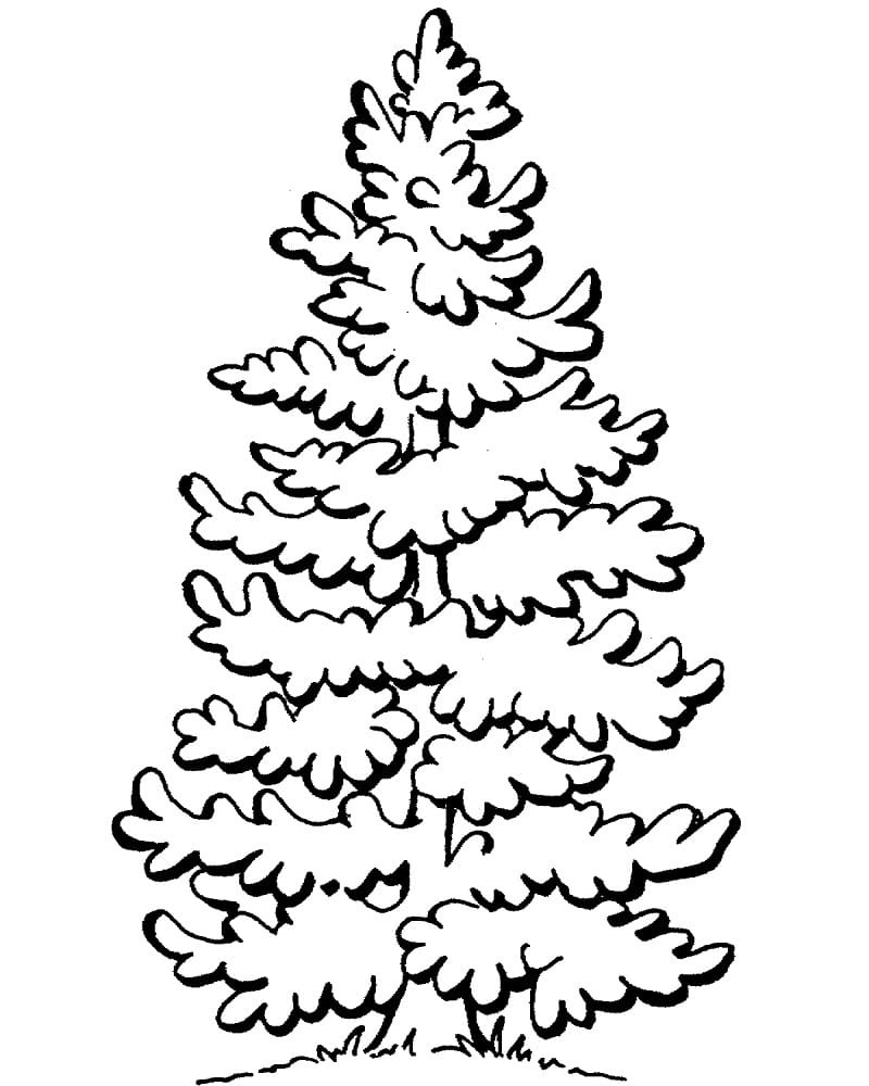 Tranh tô màu cây xanh thư giãn gần gũi thiên nhiên