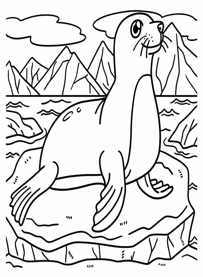 Tranh tô màu hải cẩu xinh đáng yêu lắm