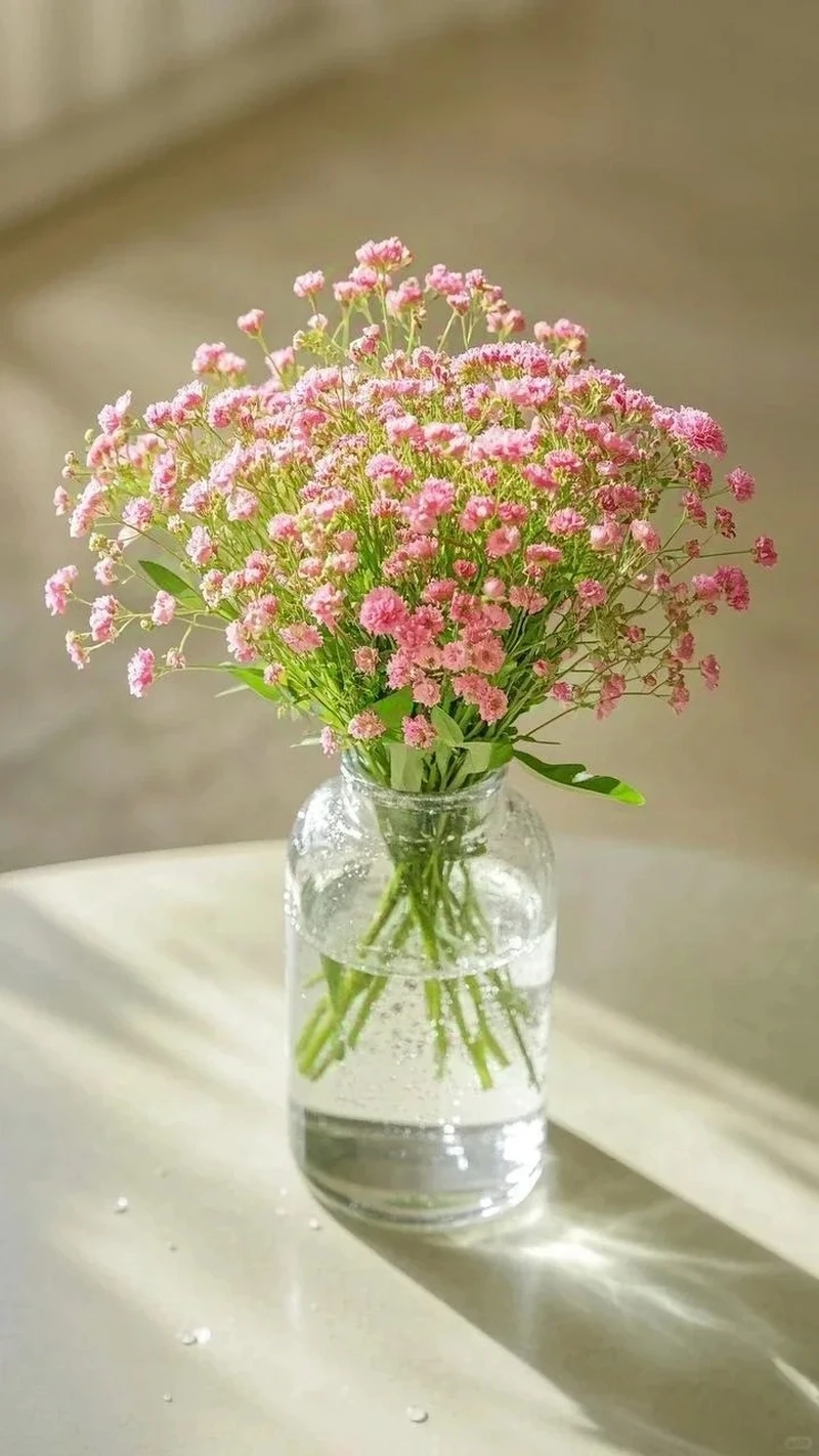 Vẻ đẹp tinh tế từ avatar hoa baby nhẹ nhàng tinh tế