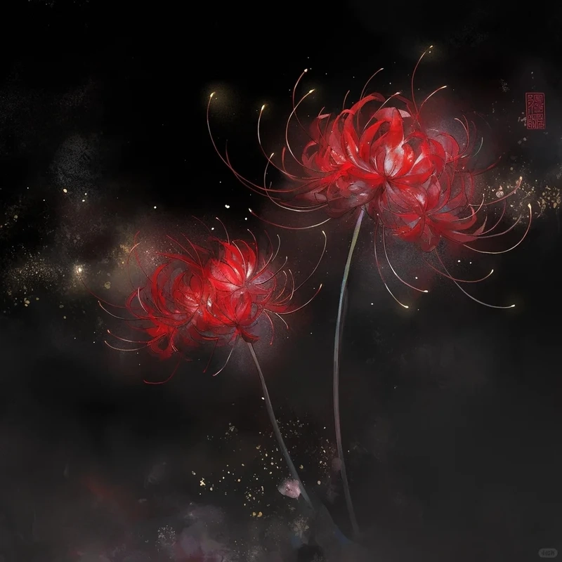 Bộ sưu tập avatar hoa bỉ ngạn buồn đẹp dành cho những ngày tâm trạng