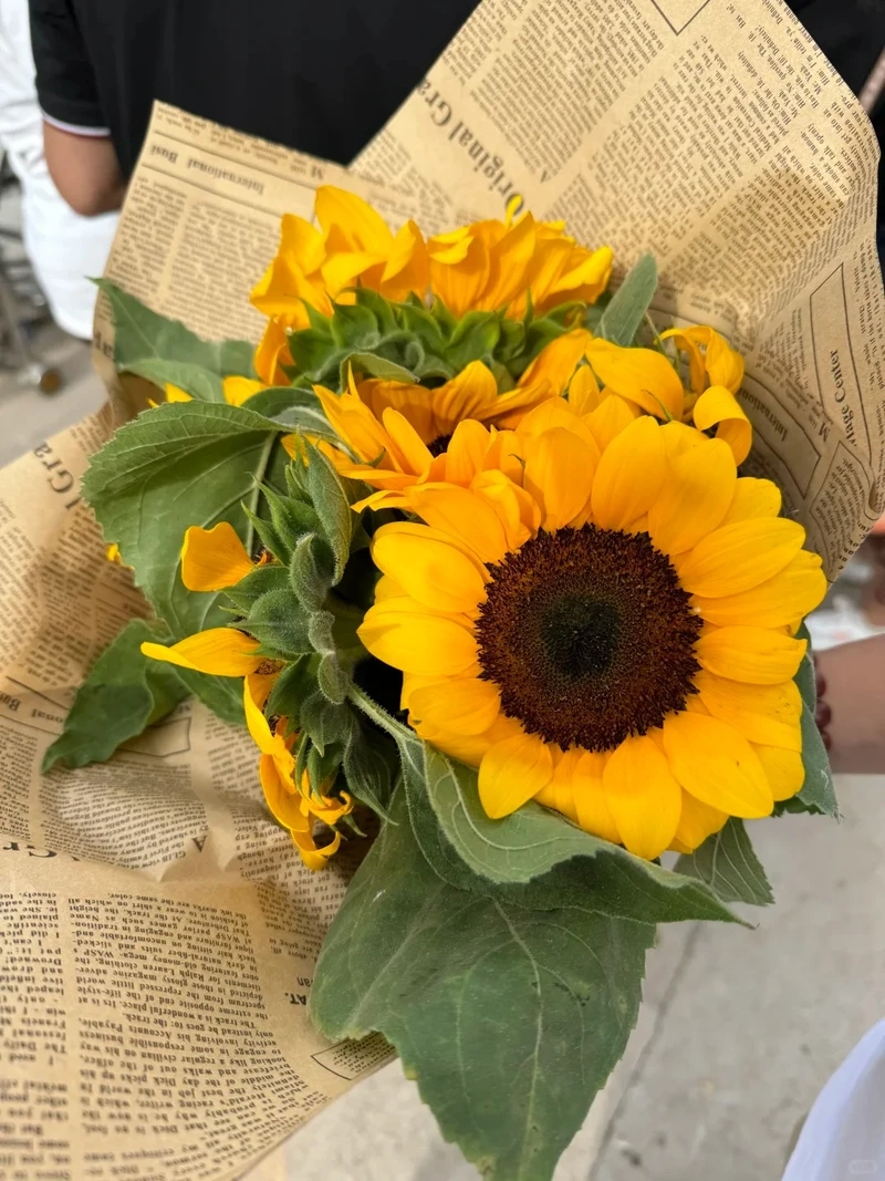 Avatar hoa hướng dương dễ thương khiến trang cá nhân thêm rực rỡ