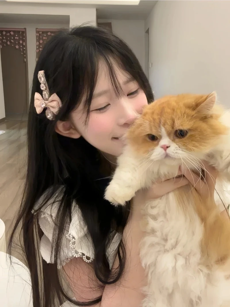 Concept đáng yêu với gái xinh chụp ảnh với mèo khiến tim rung động