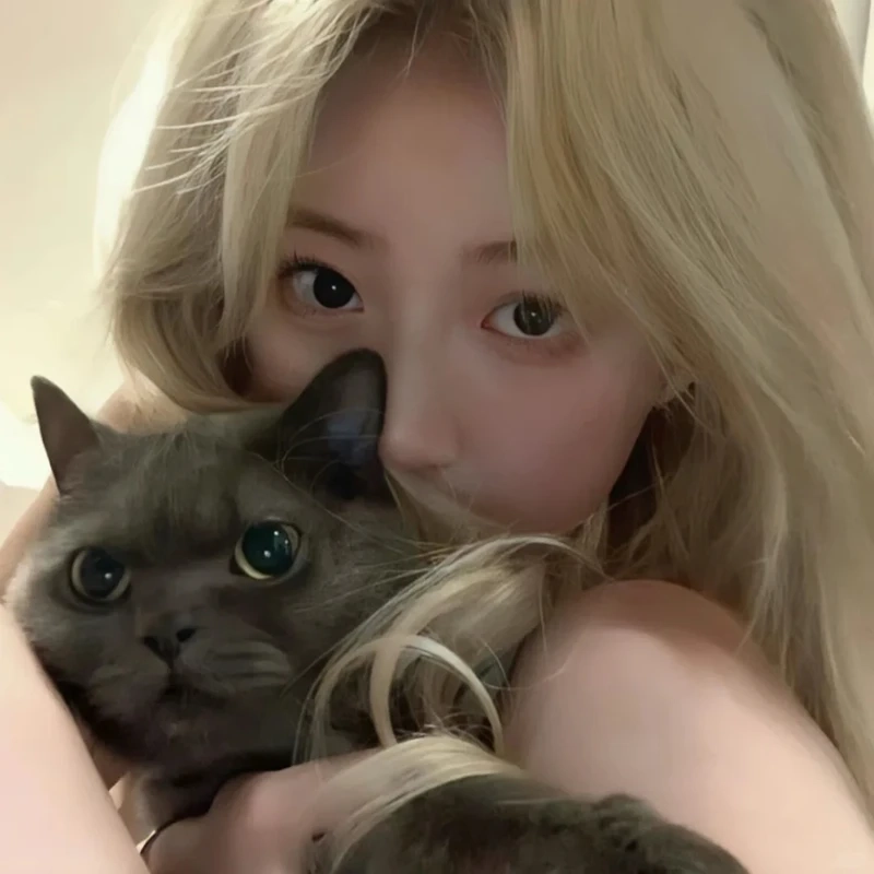 Không gian thư giãn với gái xinh bên mèo chill khiến lòng dịu lại