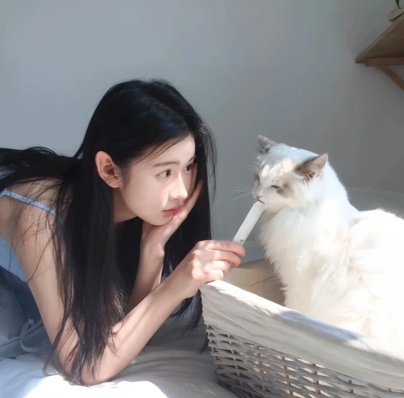 Góc máy tinh tế của gái xinh bên mèo chân dung khiến ai cũng mê