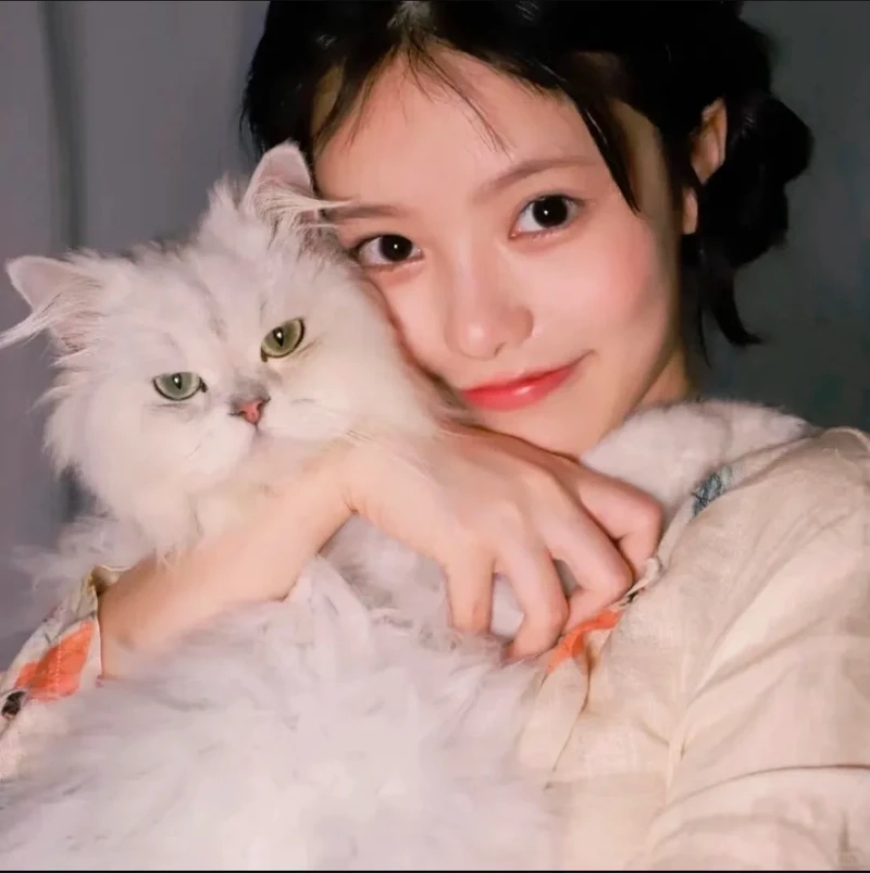 Khoảnh khắc giản dị của gái xinh bên mèo đời thường cực gần gũi