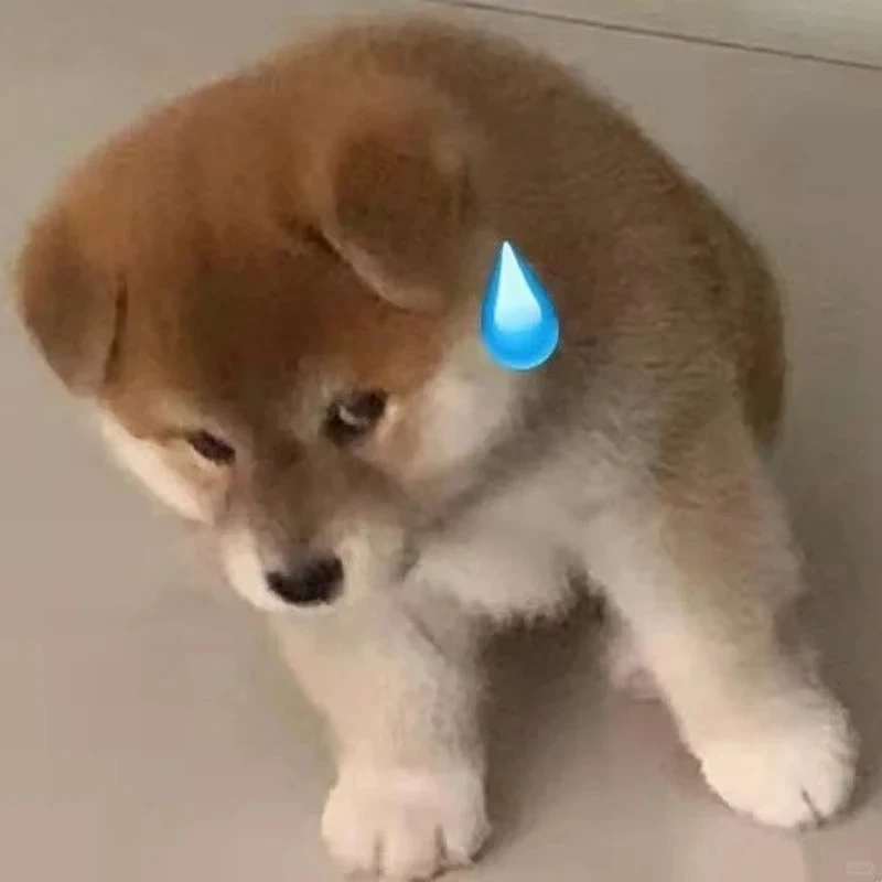 Meme đổ mồ hôi căng thẳng khi bạn chờ kết quả mà tim đập liên hồi