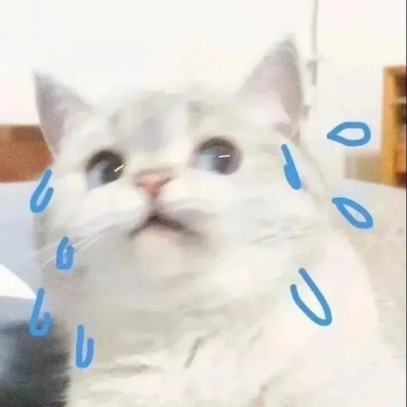 Meme đổ mồ hôi cute dễ thương nhưng vẫn cực kỳ hài hước