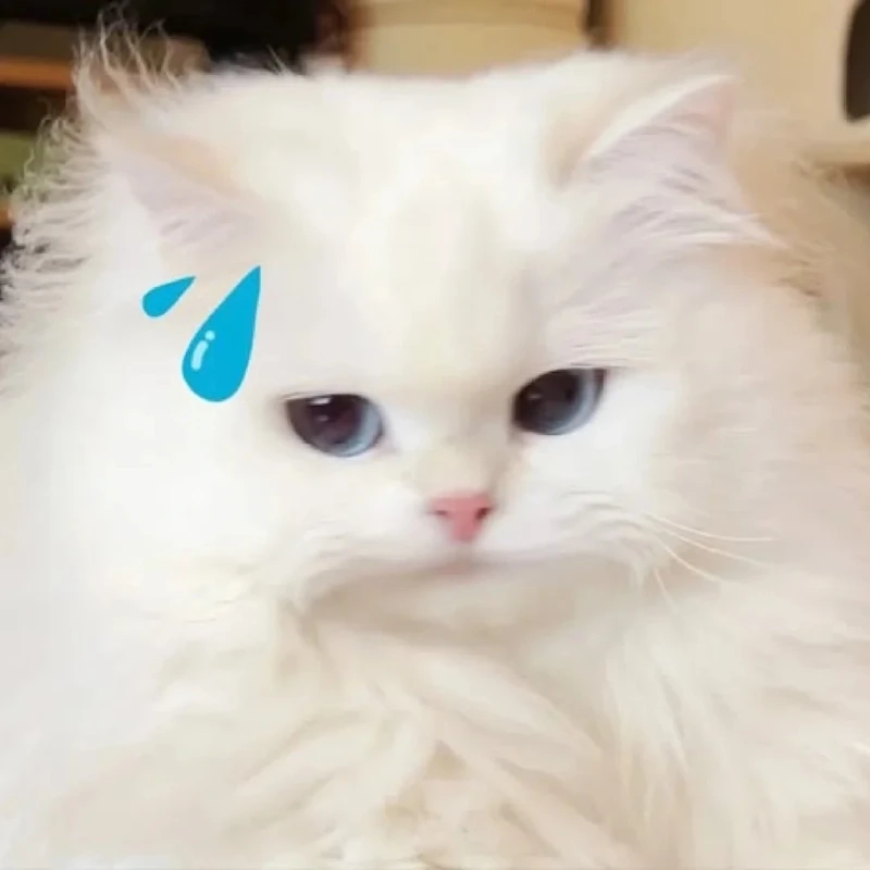 Meme đổ mồ hôi chế hài hước cực mạnh dành cho dân meme