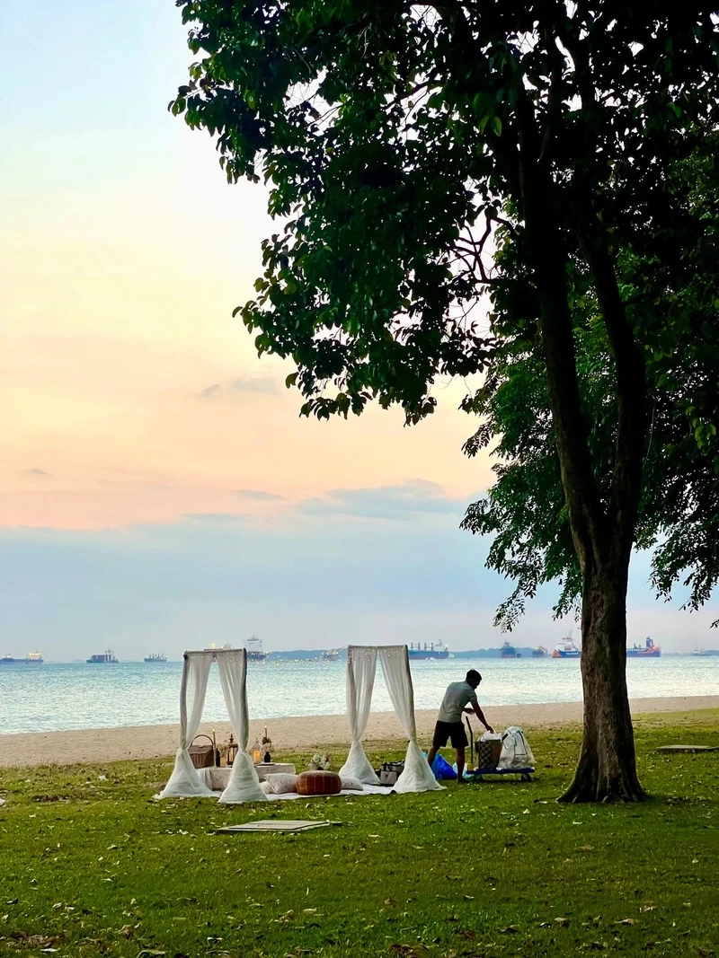 Nét thơ mộng của phong cảnh Singapore cảnh biển cực thư giãn