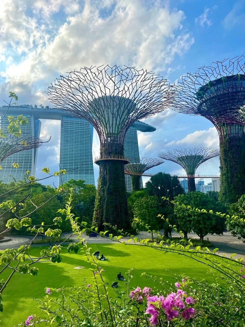 Bộ sưu tập phong cảnh Singapore wallpaper cực đẹp cho máy tính