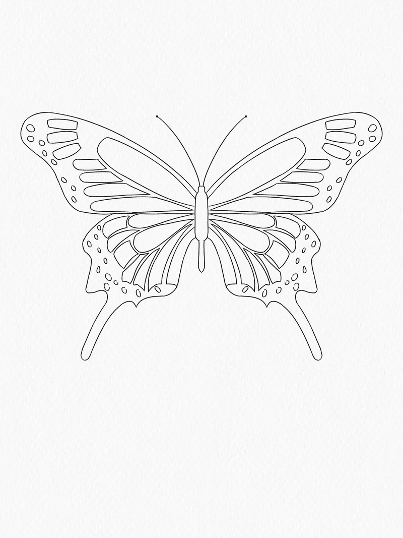 Tuyển tập tranh tô màu bướm cho trẻ mầm non dễ tô