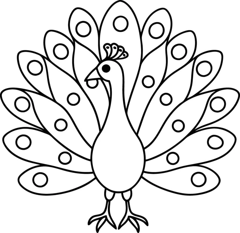 Tuyển tập tranh tô màu chim công cho trẻ em cực đáng yêu