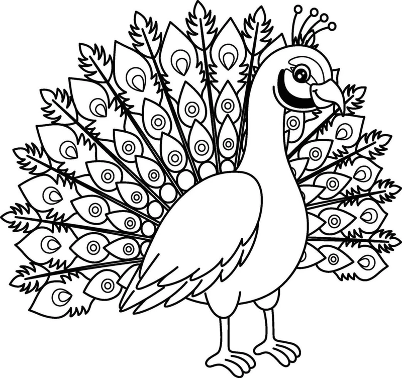 Bé mới học vẽ sẽ thích tranh tô màu chim công đơn giản cho bé