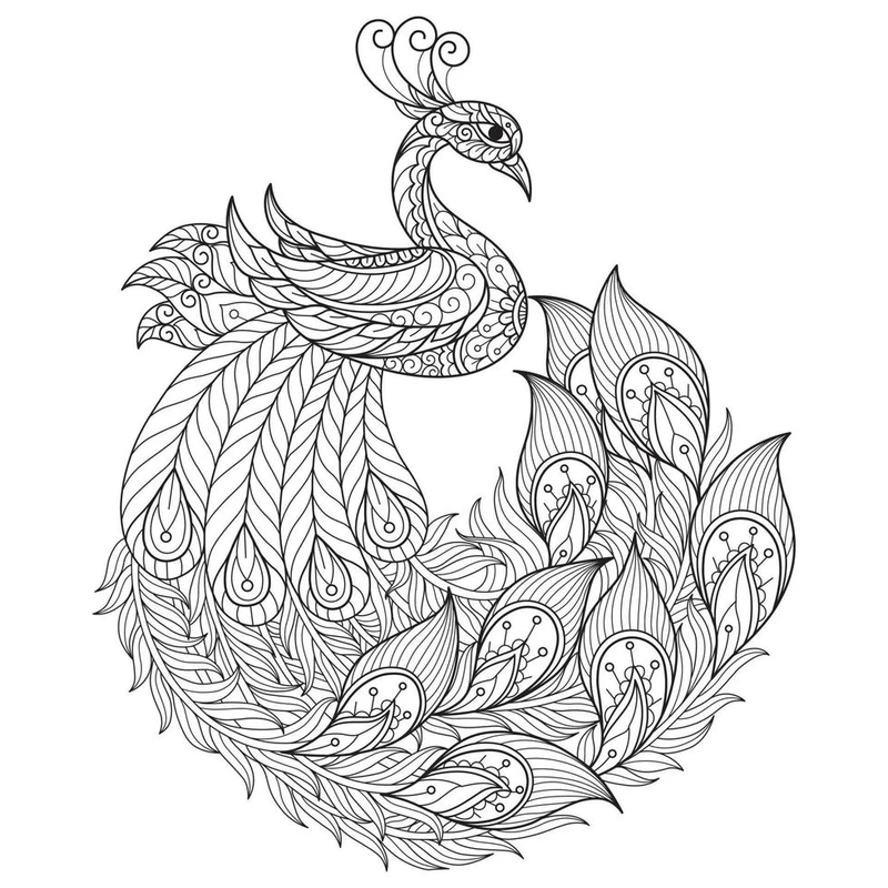 Tải nhanh tranh tô màu chim công dễ in cho bé học tại nhà